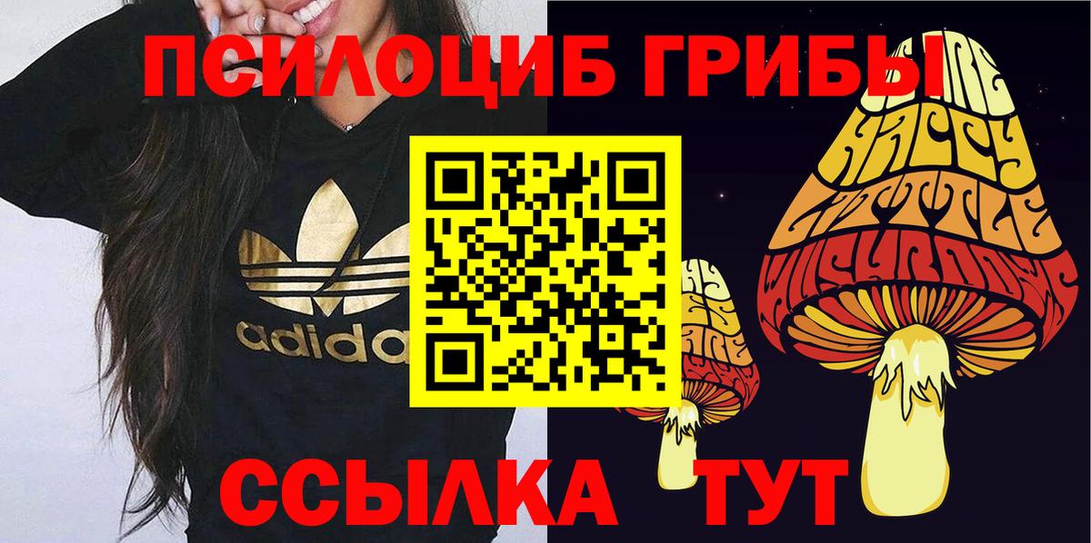 Галлюциногенные грибы Psilocybine cubensis Лабытнанги