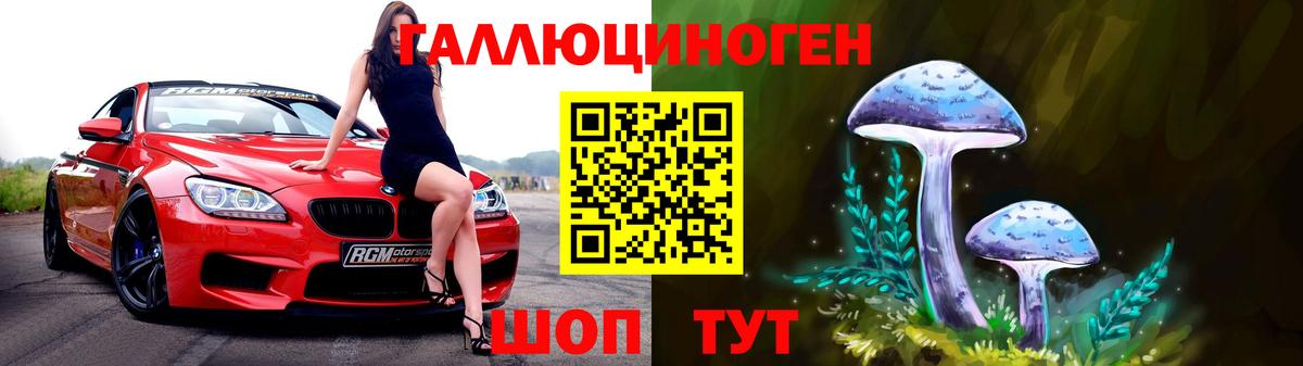Псилоцибиновые грибы Psilocybe  Вход с VPN  Лабытнанги  Псилоцибиновые грибы прущие грибы 